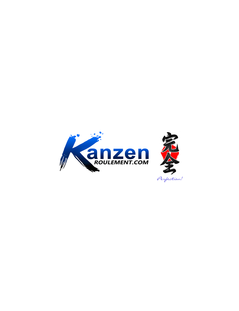 KANZEN SYNERGIE boccole ceramiche cuscinettate P.T.W. systema
