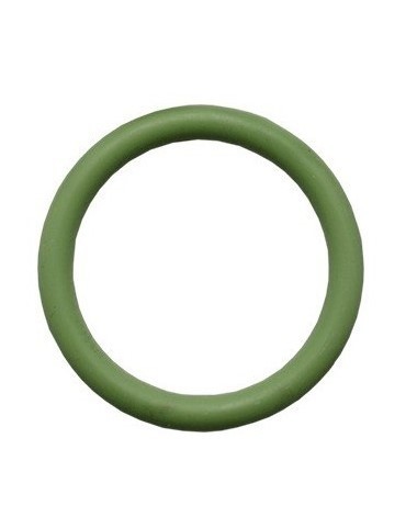 FPS O-RING DI TENUTA PER TESTA PISTONE IN VITON (ORTP)