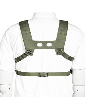 Tasmanian Tiger TT Small Combi Rig